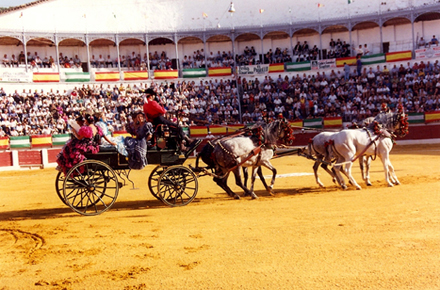 Aspecto de la Plaza en la Corrida del Cantenario en 1992