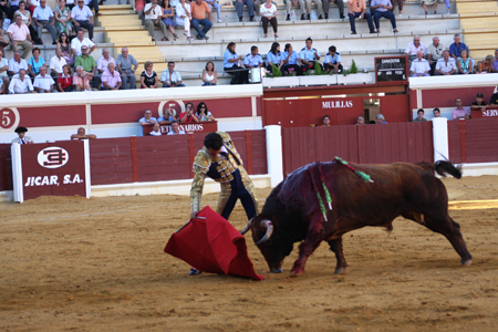 MATIAS TEJELA en el Coso lucentino bajando la diestra y humillando al de Fuente Imbro