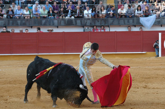 toros