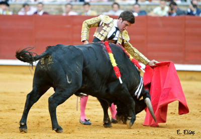 Miguel Angel Serrano en el coso de los Califas (Foto de archivo)