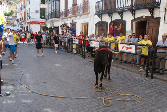 Toro de cuerda