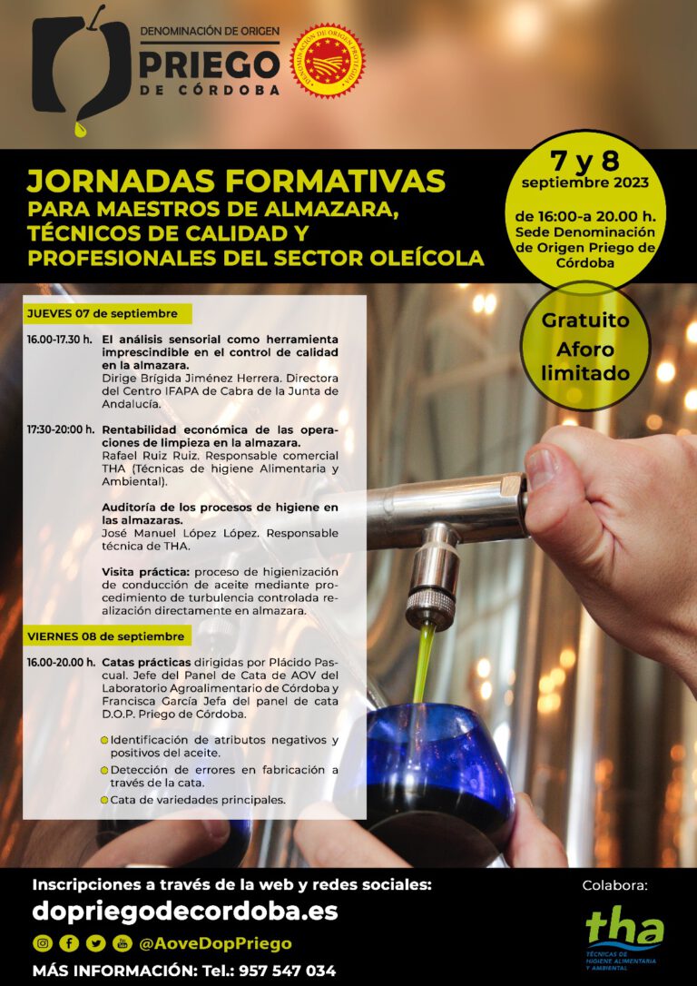 jornadas formativas