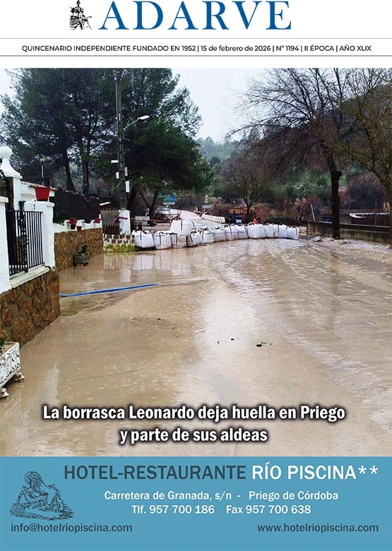 portada 15 de febrero