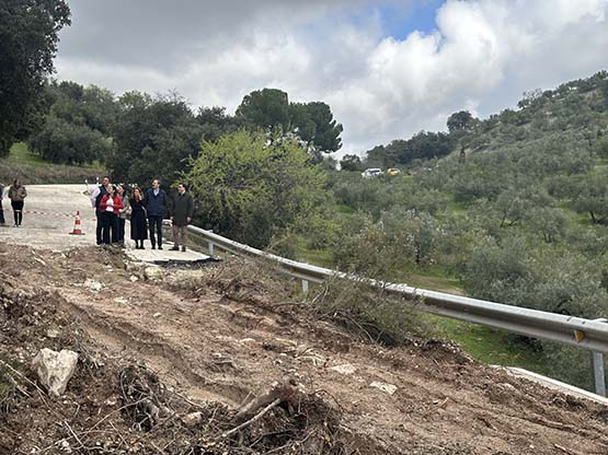 carretera de algarinejo