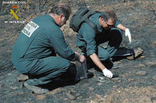 Investigaci�n incendio forestal